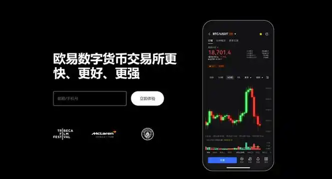 钱包APP官网下载页面展示